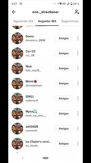 💙💚🇮🇪❤️💛#zaynmalik #harrystyles #louistomlinson #liampayne #niallhoran #onedirection #directioner