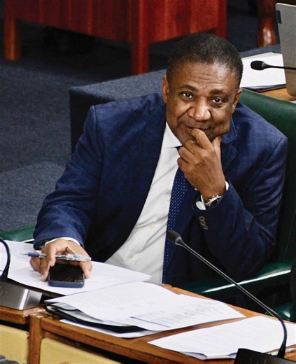 Paulwell calls for strategic action to unlock rare earth minerals from bauxite residue - Jamaica Observer