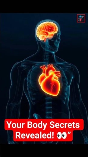 How the Human Body Works