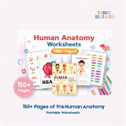 150  Pages Human Anatomy Worksheets With Cutting & Matching Activities - Etsy