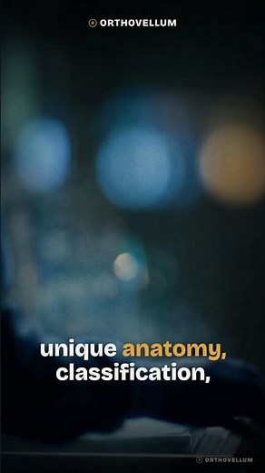Scaphoid Fractures Masterclass: Anatomy, Classification & Management