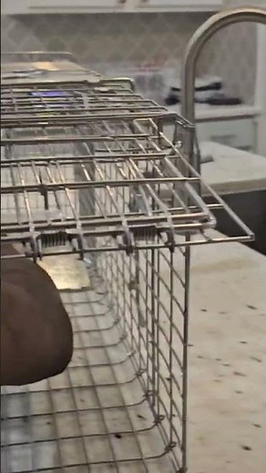 setting up a possum trap pt 1