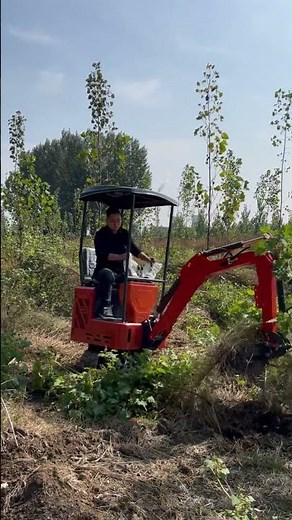 Mini Excavator with Rake Attachment: Clearing 1m High Weeds