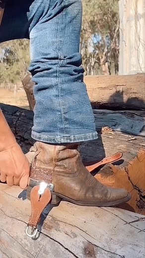 746K views · 4.1K reactions | Why Cowboys Use Spurs 勞 #fbreels | Shivamic | Facebook