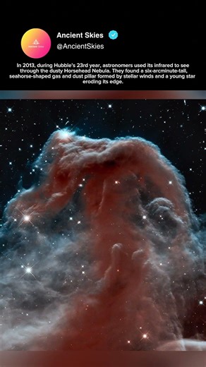 Horsehead Nebula in Infrared #shorts
