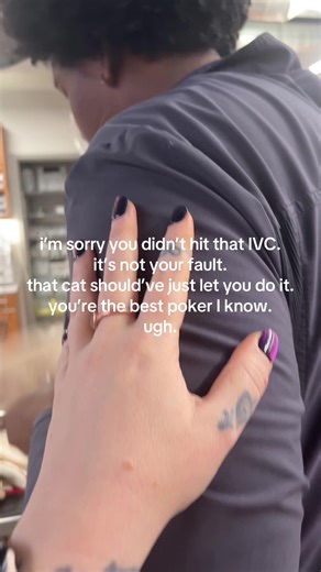 Understanding Cat Behavior in Veterinary Settings