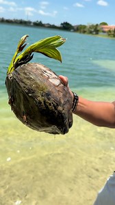 Did you know... | GoNaturalite