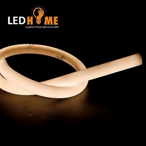 [Hot Item] IP65/IP67 Neon Lighting Bendale Linear Light Dots Free LED Lighting