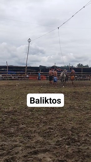 Baliktos top main event 🥰 | Roderick Maglangit Rosales