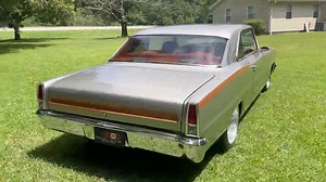 Lawn Art 101 | The Classics