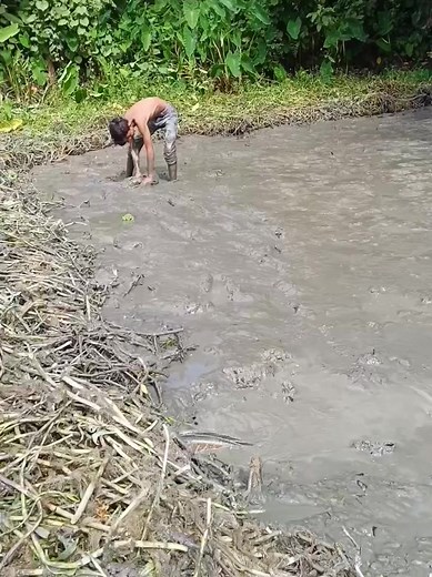 The digital contant creator pert 17 jodi o mas ta onak boro tobe ata to sukna jaygay r ata dora kno bepar e na. tara je ki kore sudu sudu natok kortese. ai mas ta akta choto manus o dorte parbe easily but tara partese na dui jon mile o hyre contant creator r koto kisu e je dekhte hobe jibone 😁