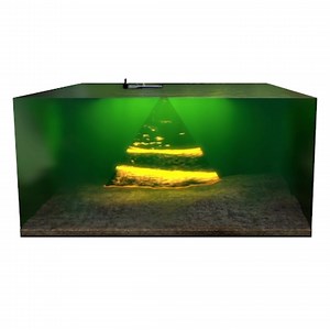 See it live, catch it live | Lowrance | Facebook