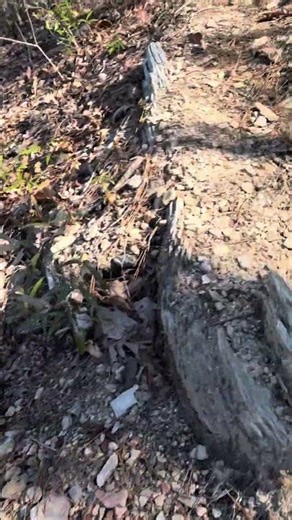 Sprewell Bluff park Widow maker trail Thomaston Georgia #hiking #outdoors