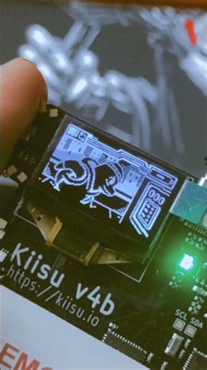 kiisu v4b with latest flipper zero firmware