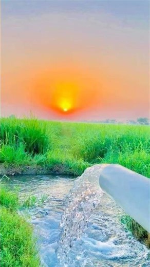 জান্নাত লাভের দোয়া; #shorts #IslamCreations