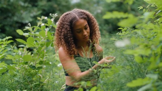 达芬奇预设 怀旧老式电影放映机胶片感漏光闪烁灰尘划痕婚礼视频转场过渡特效 Old Film Transitions