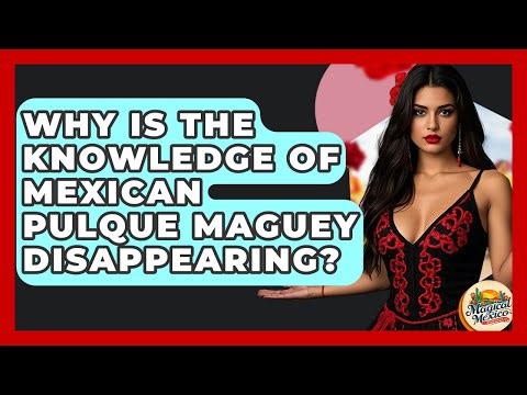 Why Is The Knowledge Of Mexican Pulque Maguey Disappearing? - Magical Mexico Moments