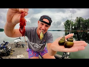 2 Days Foraging for Bait to Catch my Food! (Catch Cook Camp)