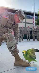 329K views · 10K reactions | “Snack First, Attack Later!” — Army...