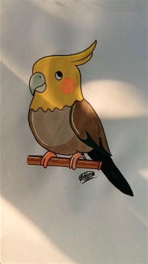 You Won’t Believe This Cute Cockatiel Drawing! 🐦🎨 #shorts#drawing#trending