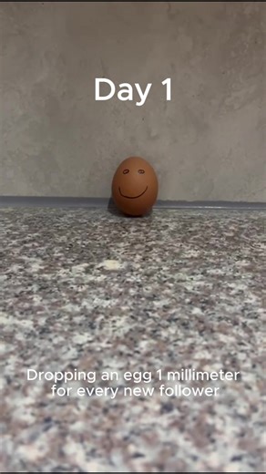 Watch the Egg Drop Challenge Progress!