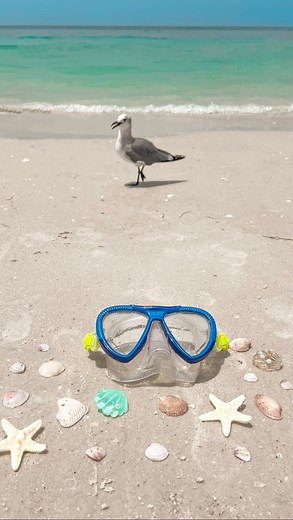 GRACE TAYLOR on Instagram: "sailing on cruises can get SO windy on deck, so I thought this could be a fun new series of my fav cruise friendly hairstyles?! #cruise #cruisehairstyles #windyhairstyle #cruiseship #utopiaoftheseas #royalcaribbean #cruiselife #grwm #hairstyle #cutehairstyles #hairinspo #blonde #longhair #hairstyles #halfuphalfdownhairstyle #halfuphalfdown #clawclip All music & sound rights go to artist & owners"