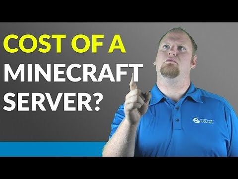 How much does a Minecraft server cost?