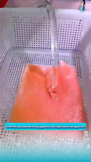 A 3D filter pad absorbs cloudy pigments and impurities in the aquarium.