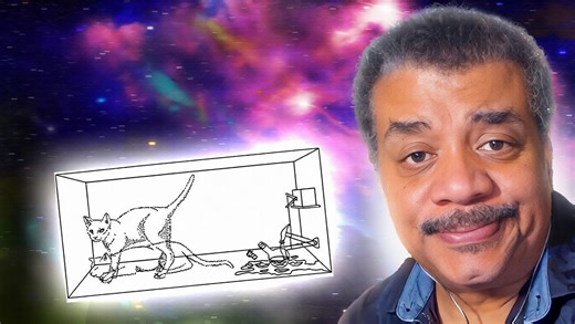 What is Schrödinger’s cat?