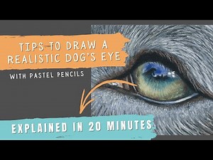 Realistic Dog Eye Drawing Explained in 20 Minutes