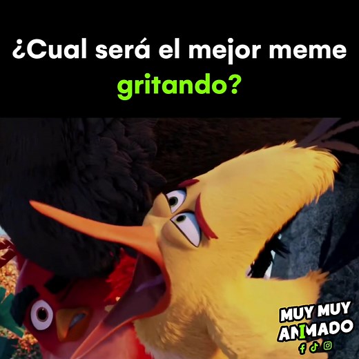 Funny Angry Birds Memes Compilation