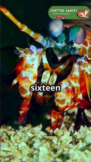 How Do Animals See Colors? Discover Their Amazing Vision!