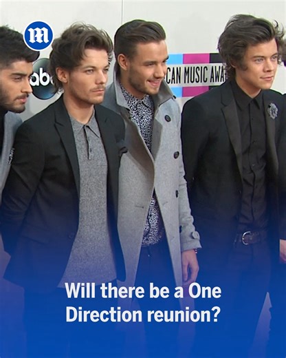 Is there a One Direction reunion on the works? 😱 | Daily Mail Video