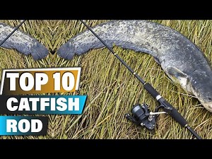 Best Catfish Rods In 2025 - Top 10 Catfish Rod Review