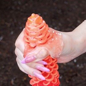 338K views · 281 reactions | Smart ideas for growing plants and running your garden | 5-Minute Recycle | Facebook