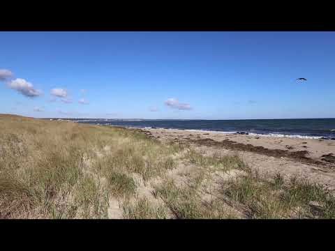 Morning Bliss at Scusett Beach | 25 Minutes of Calm Ocean Vibes