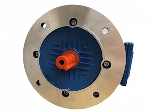 [Hot Item] Ye3-80m2-4 Three-Phase Asynchronous Speed Gear Motor for Electrical Applications