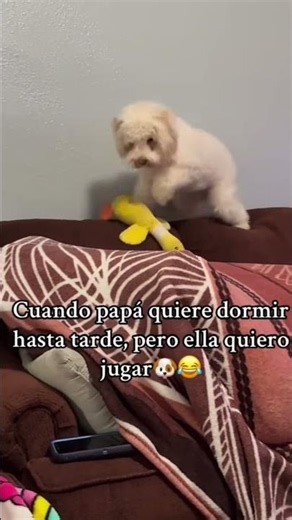 #humor