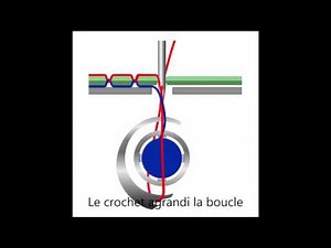La Formation du Point Noué 301