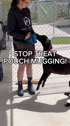 5.9K views · 258 reactions | Let’s talk Rehabilitation! When a...