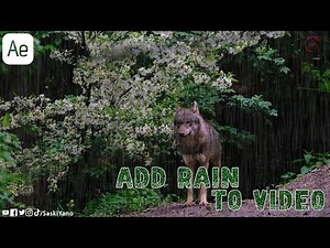 Add Rain to Video in Adobe After Effects