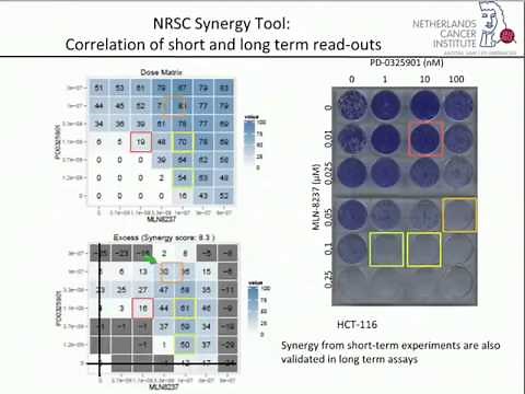 Webinar: Drug-drug combinations made simple