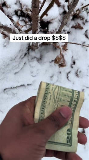 Know this area ? If you find it , take it. #fyp #scavengerhunt Tag us if when you find it.