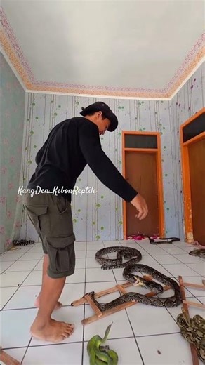 Snakes and ladders #snake