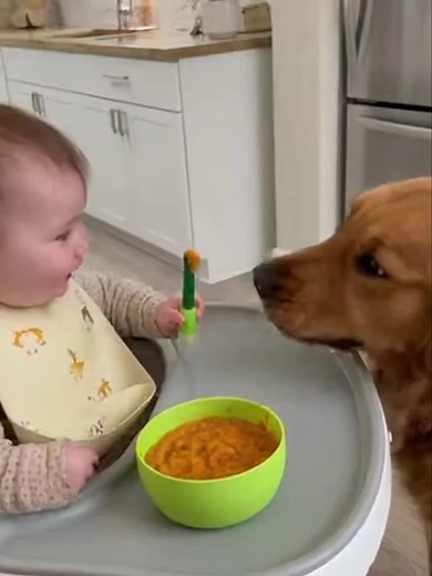 “Baby laughs, dog joins the show! 😂🐶👶” #FunnyBaby #DogComedy #HappyReel #BabyAndDog #CuteChaos | Ly rowland5