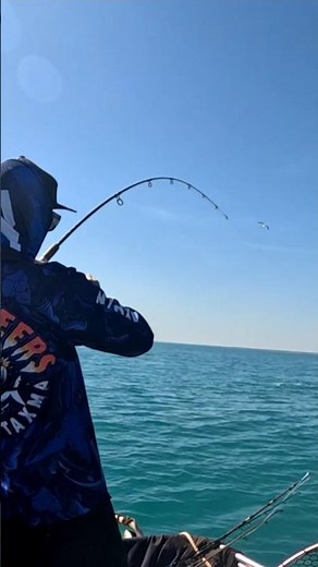 Epic Tuna Strike & Run – Sharks Lurking Underneath the Fight #fishing #ocean #tuna