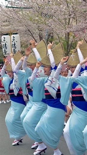 馬込文士村 #阿波踊り #阿波おどり 点睛連 #beautifulmusic #awaodori