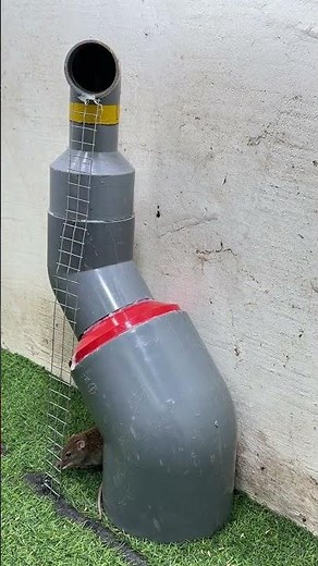 Easy mouse trap good trap plastic pipe #rat #mouse #mousetrap #rattrap #diymousetrap