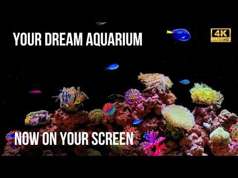 🐬 Experience Serenity: 4K Fish Tank with Soothing Aquatic Motion & Tranquil Silence