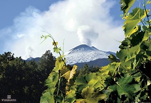 Mt Etna Wines | Sicily